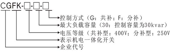 CGFK智能復合開關 新一代無功補償電容投切器 CGFK智能復合開關 新一代無功補償電容投切器