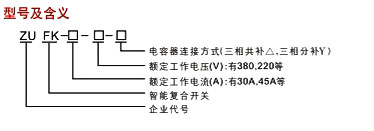 ZUFK系列智能復合開關型號說明 ZUFK系列智能復合開關型號說明