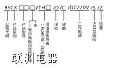 BSCXϵ_(ki)P(gun)ܲ@b